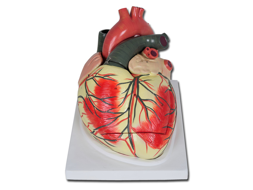VALUE COEUR - 3 pièces - 3X
