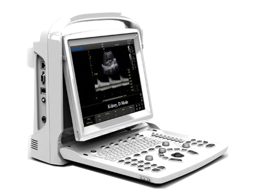 "P10" CHISON ECO3 EXP. B&W ULTRASOUND - 2 probe connector