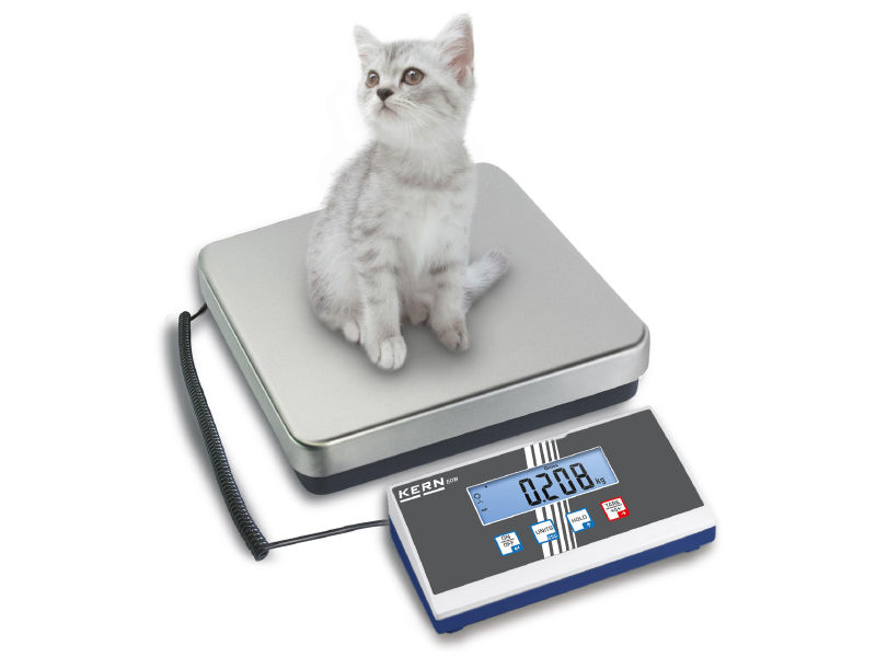 Platform scale EOB