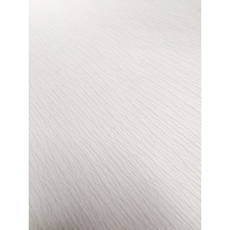 Boîte de 100 filtres plissés standard crépé 120g/m²