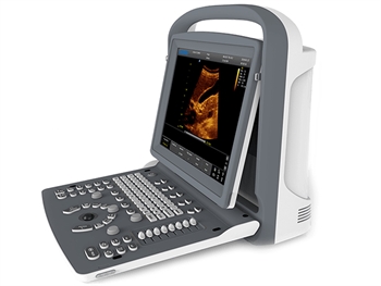 "P16" CHISON ECO2 B&W ULTRASOUND - 1 probe connector