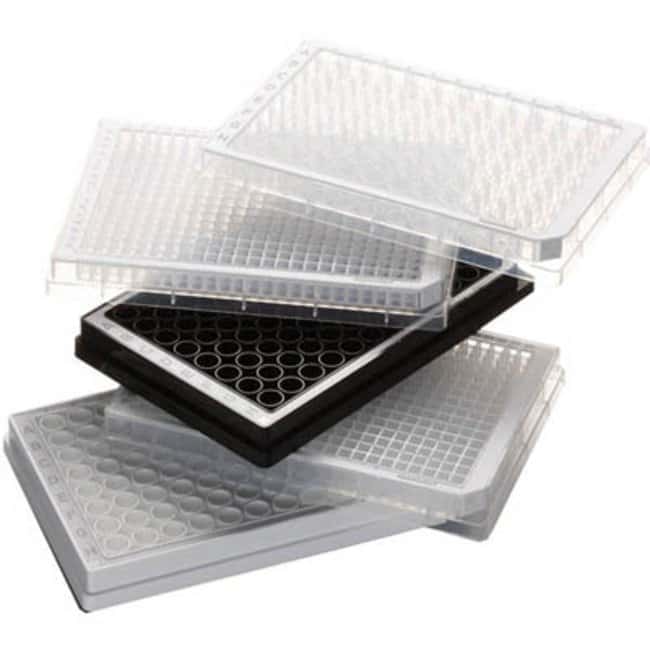 Eppendorf™ Microplaques PCR à fond en U en polypropylène stériles à 96 puits, Vendu par 1PCE