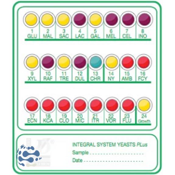 CODE BOOK ENTEROSYSTEM 18R - 1 unit