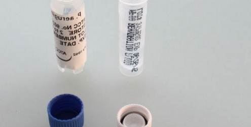 Clostridium perfringens - 5 pellets