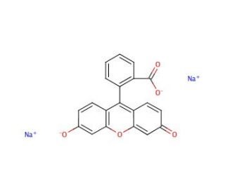 Fluorescein sodium salt (CAS 518-47-8)