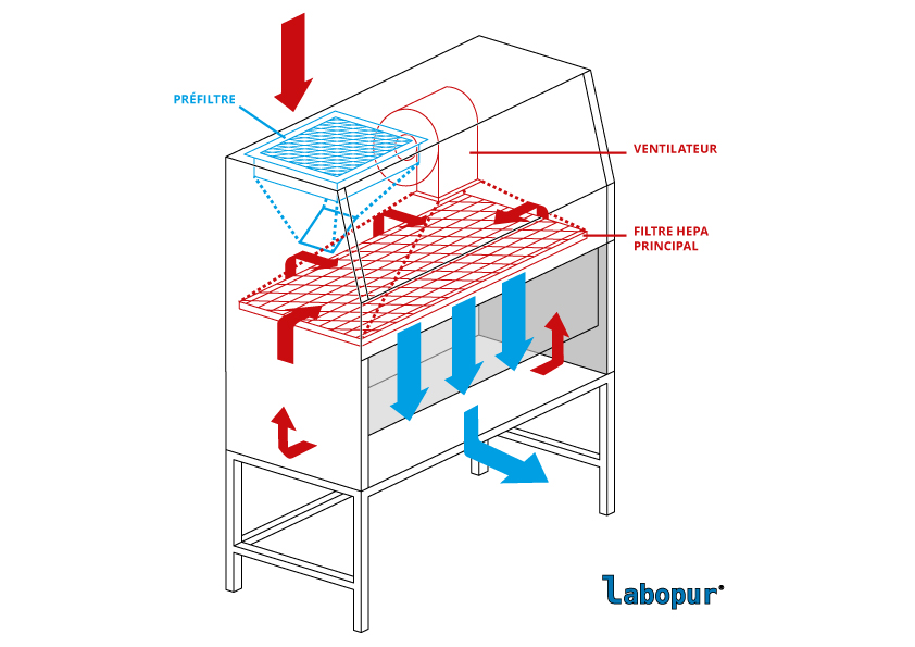 Hotte à Flux laminaire vertical 1200