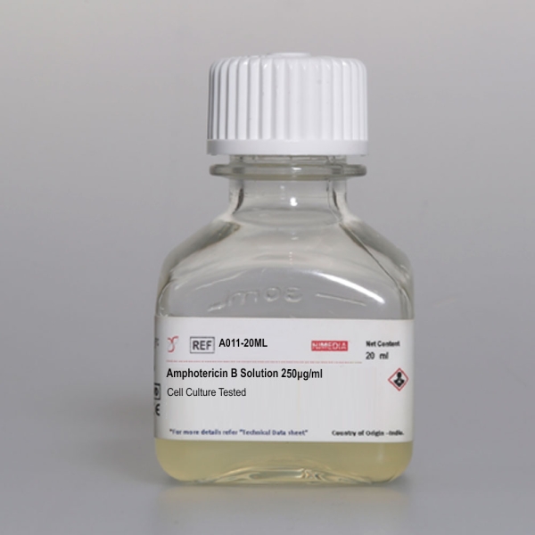 Amphotericin B Solution 250µg/ml Cell Culture Tested