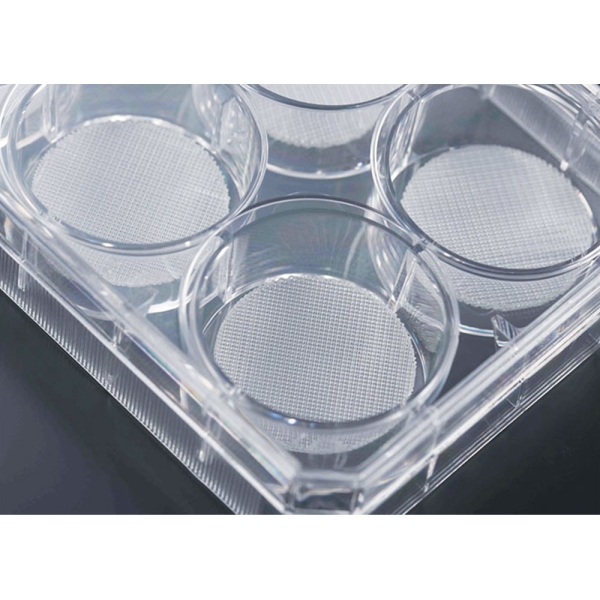 Cell Culture Scaffold, 6 well Plate
