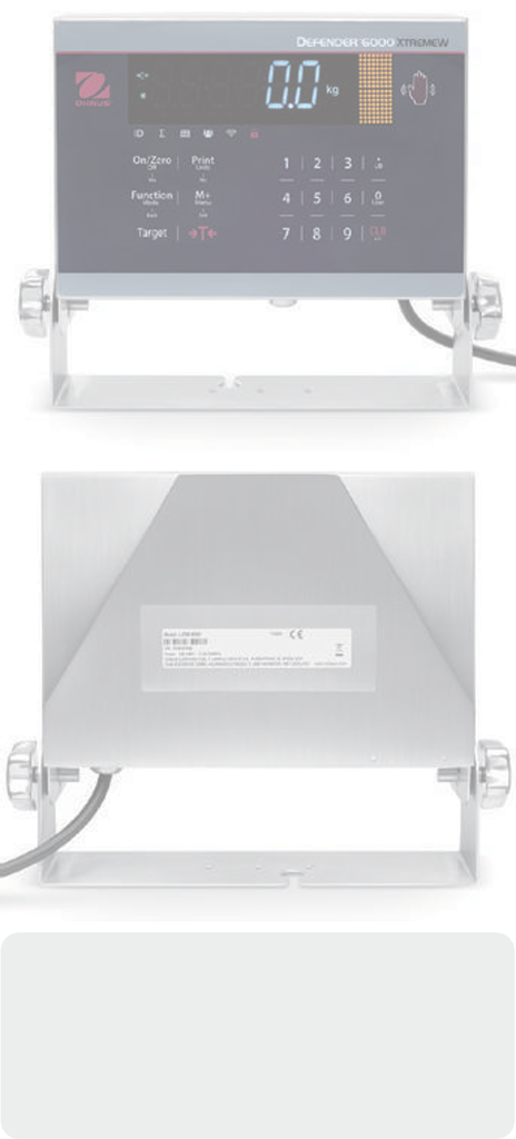 INDICATEUR OHAUS i-DT61XWE