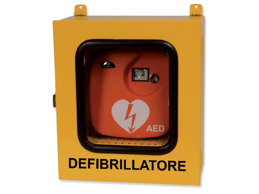 [35335] BOÎTIER AVEC RÉGULATION THERMIQUE ET ALARME - POUR EXTÉRIEUR