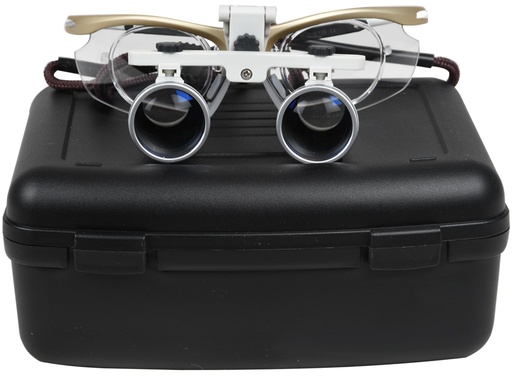 LOUPE BINOCULAIRE CHIC 2,5X