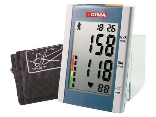 MONITEUR DE P.S. NUMÉRIQUE DOMINO