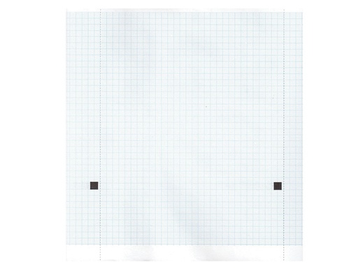 [32975] Papier thermique ECG 210x20 mm x m rouleau - grille blue - boîte de 5