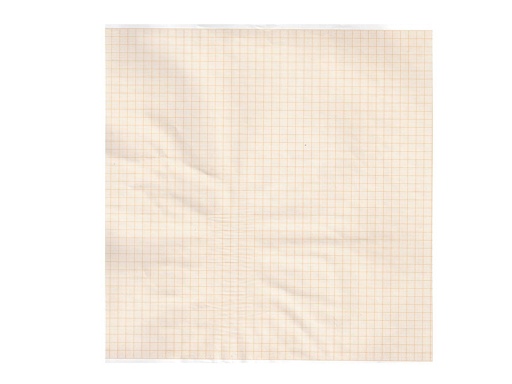 [32950] Papier thermique ECG 215x25 mm x m rouleau - grille orange - boîte de 5