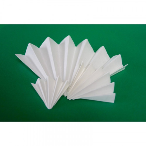 Boîte de 100 filtre plissé quantitatif lent