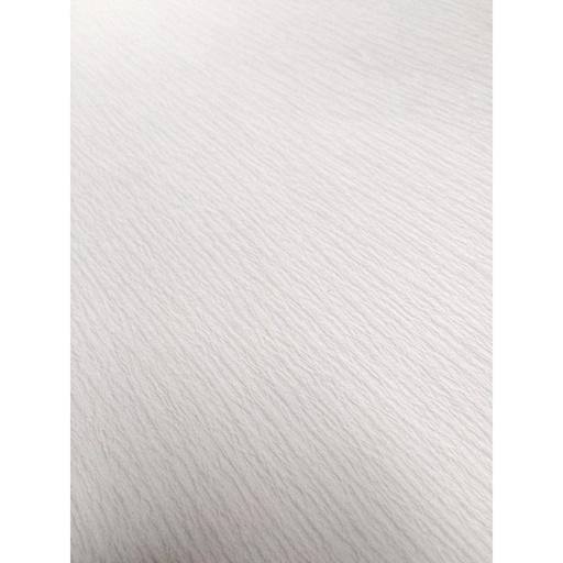 Boîte de 100 filtres plissés standard crépé 120g/m²