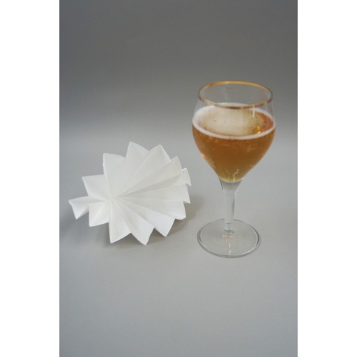 [135119002] Boîte de 100 filtres à plat spécial brasserie, 150 mm