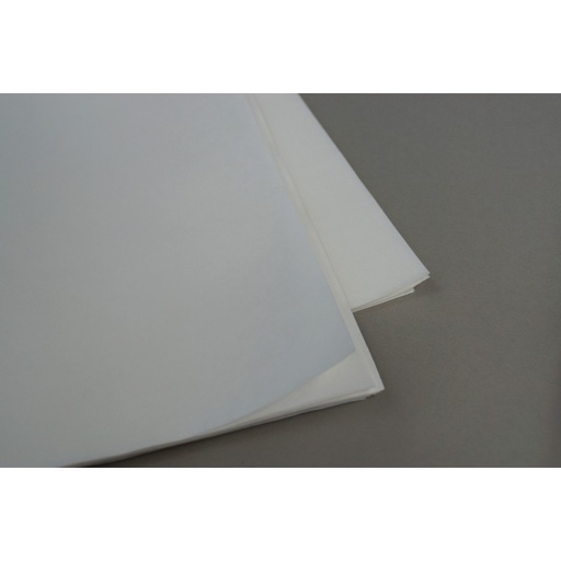 [135119067] Boîte de 100 filtres plat standard, 150 mm