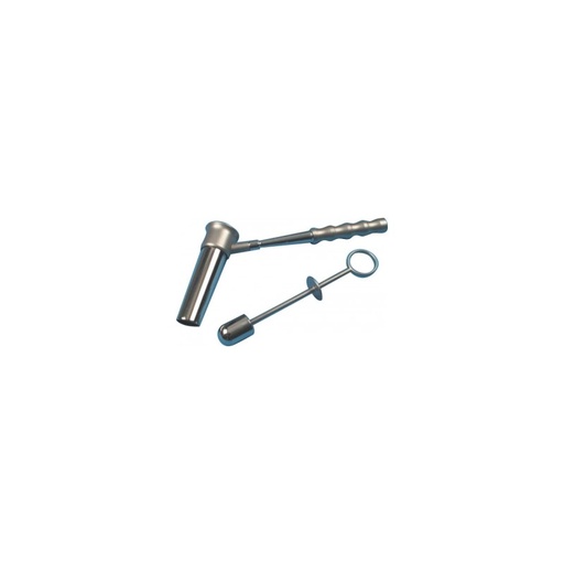 [366000535] Anuscope Bensaude, adulte, long. 7,2 cm, diam. 22 mm