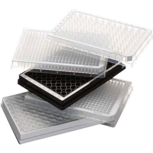 [810035423] Eppendorf™ Microplaques PCR à fond en U en polypropylène stériles à 96 puits, 80/boîte