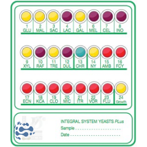 [71710] CODE BOOK ENTEROSYSTEM 18R - 1 unit